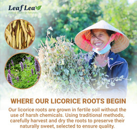 LeafLea box with tea bags displayed for on-the-go enjoyment.