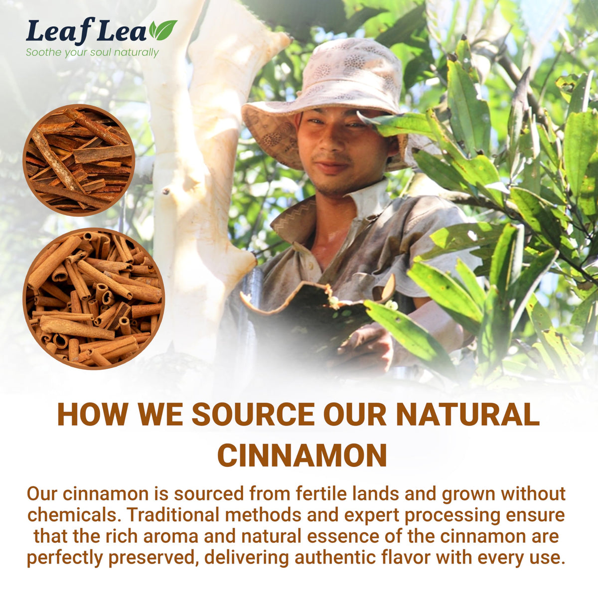 LeafLea Cinnamon Tea Bags highlighting sugar-free and vegan-friendly convenience