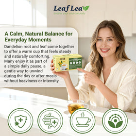 LeafLea dandelion leaf tea plant highlighting natural ingredients.