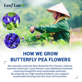 LeafLea dried butterfly pea flowers highlight natural ingredients.