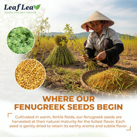 LeafLea fenugreek tea aroma image conveys bold fragrance and aromatic warmth.