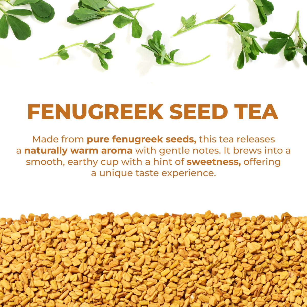 LeafLea fenugreek tea bag closeup of seeds highlights earthy aroma and natural purity.