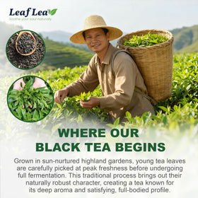LeafLea individually wrapped tea bags preserve freshness on the go.