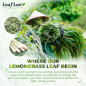 LeafLea lemongrass tea aroma close-up conveys pure, citrusy freshness.
