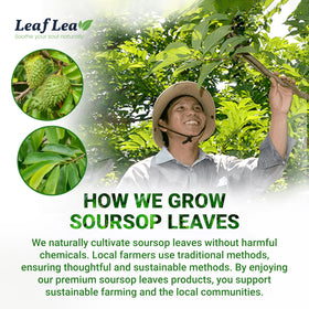 LeafLea non-GMO vegan tea collection supports plant-based choices.