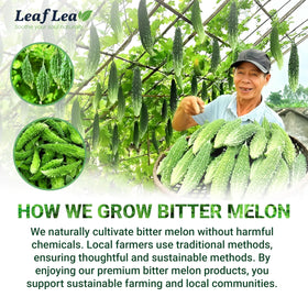 LeafLea packaging labeled Non-GMO Vegan highlights ethical sourcing.