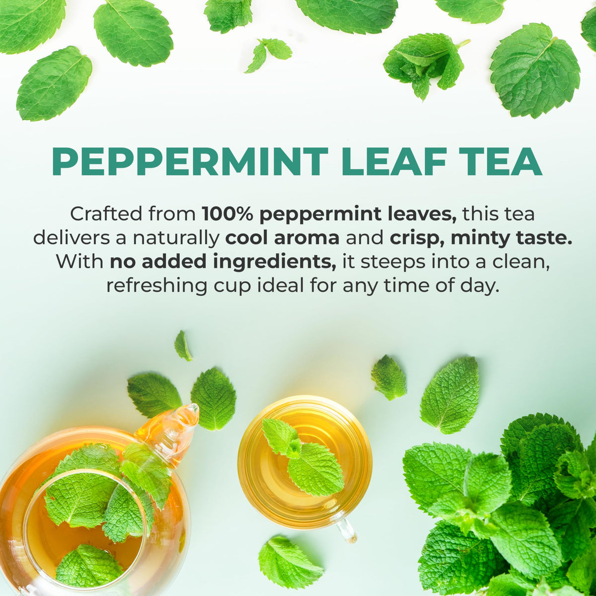 Dried peppermint leaves for LeafLea tea emphasize quality and single-ingredient focus