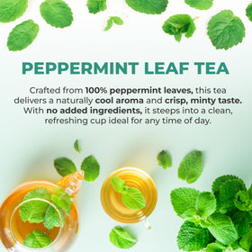 Dried peppermint leaves for LeafLea tea emphasize quality and single-ingredient focus