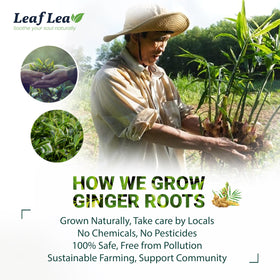 LeafLea Premium gift box inside elevates gifting for celebrations.