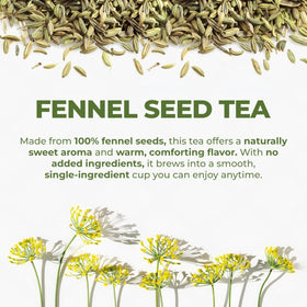 LeafLea Pure Dried Fennel Seeds shown as whole aromatic ingredient.