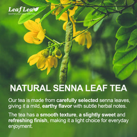 LeafLea senna tea bag close-up with earthy, mild aroma