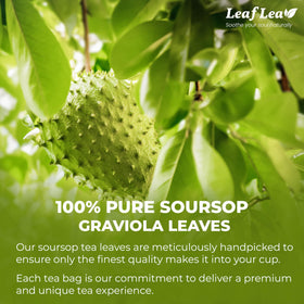 LeafLea soursop tea bag brew shows a pale yellow infusion with herbal aroma