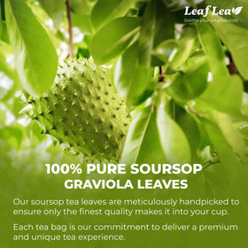 LeafLea soursop tea bags packaging highlights premium filters for pure taste.