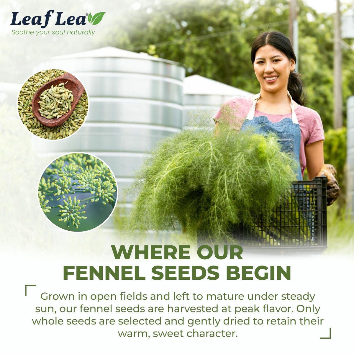 LeafLea Sturdy, compact box keeps tea bags neatly stored.