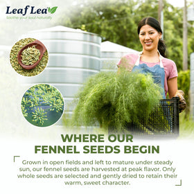 LeafLea Sturdy, compact box keeps tea bags neatly stored.