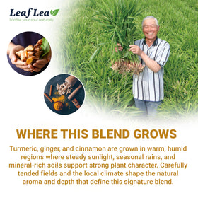 LeafLea tea bags drying to preserve freshness