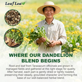 LeafLea wood-pulp paper tea bags packaging, plastic-free.