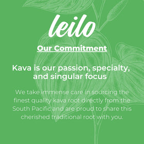 Leilo Kava lounge scene promoting a relaxed, sociable moment