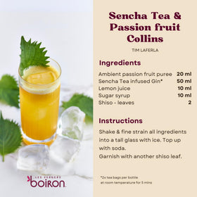 Les Vergers Boiron Passion Fruit Puree Drink Mix 1 L bottle positioned for smoothies.