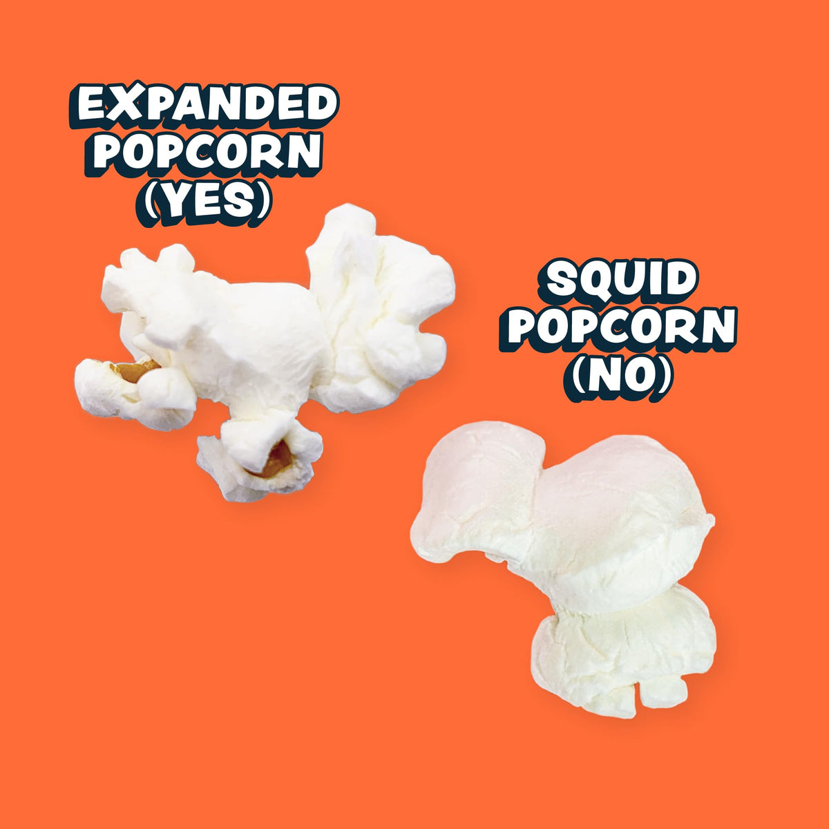 Lesserevil popcorn served in a bowl for movie night or gatherings.