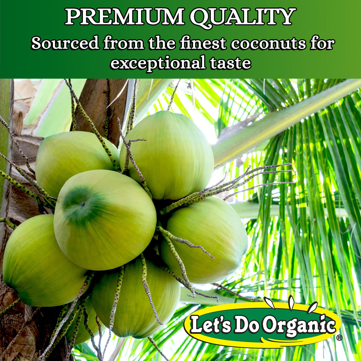 Let's Do Organic vegan-friendly coconut for gluten-free and paleo recipes