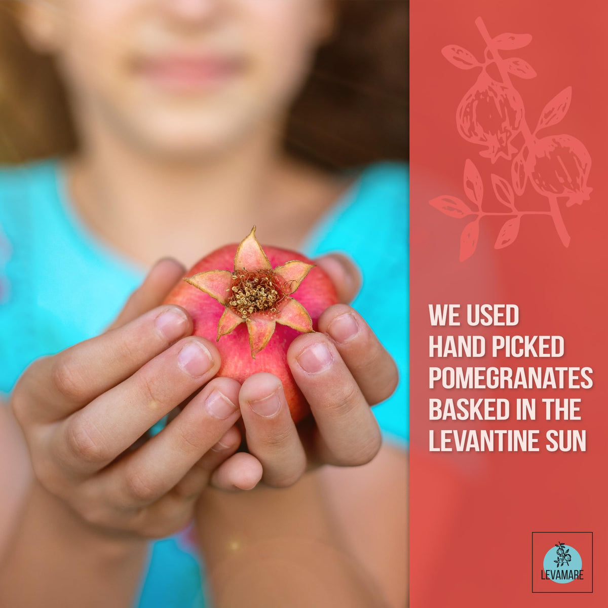 Levamare pomegranate molasses tasting spoon, illustrating a sensory drizzle for desserts.