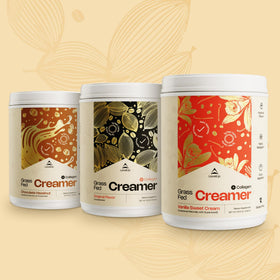 LevelUp Creamer versatile uses in smoothies and recipes
