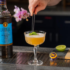 Liber & Co. Demerara Gum Syrup bar setup illustrates professional quality for home bartenders.