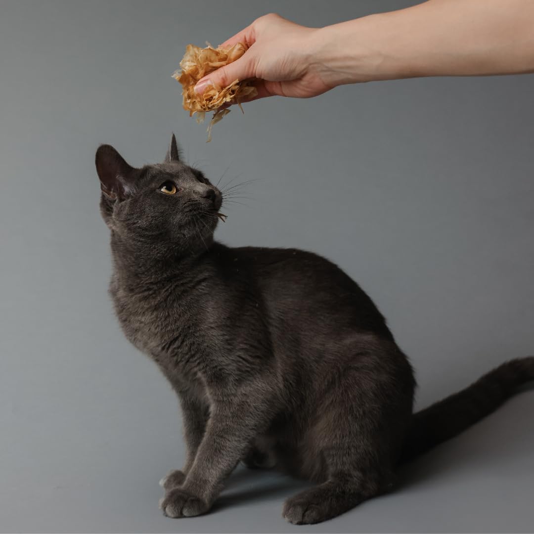 Life Essentials Bonito Flakes served as a cat and dog treat.