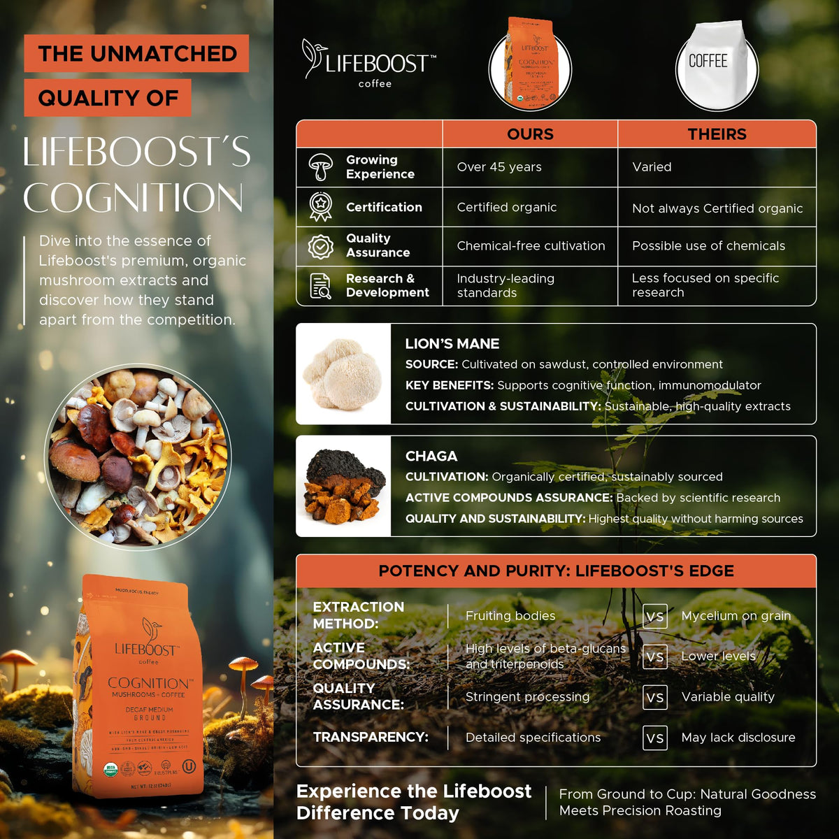 Lifeboost Chaga mushroom extract jar emphasizing immune-support potential.