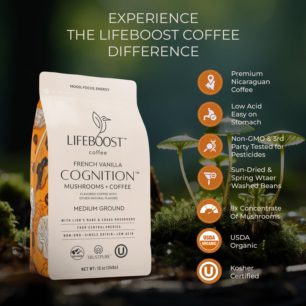Lifeboost Chaga mushroom extract close-up suggesting immune wellness support