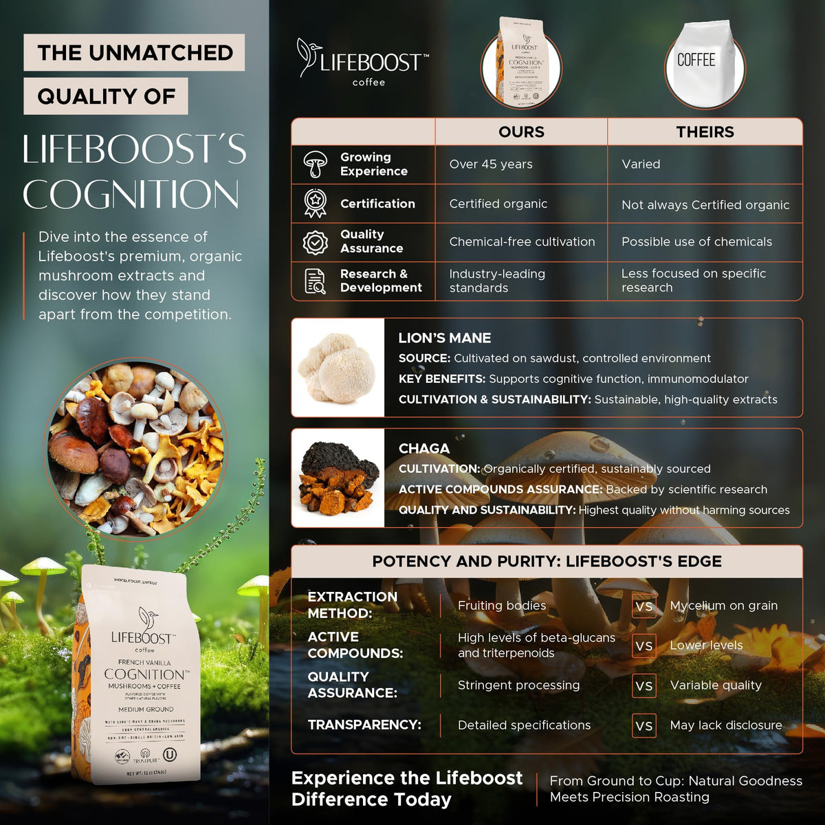 Lifeboost Lions Mane mushroom powder close-up signaling cognitive-boost potential