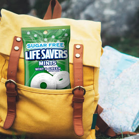 Life Savers Wint-O-Green mints in car for road trips and quick snacks.