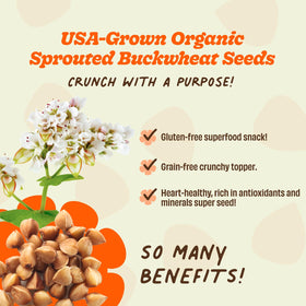 Lil Bucks buckwheat sprouts close-up reveals wholesome texture