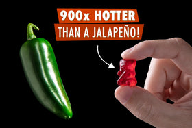 Lil' Nitro closeup-spicy-gummy-bear shows texture and intense heat for flavor chasers.