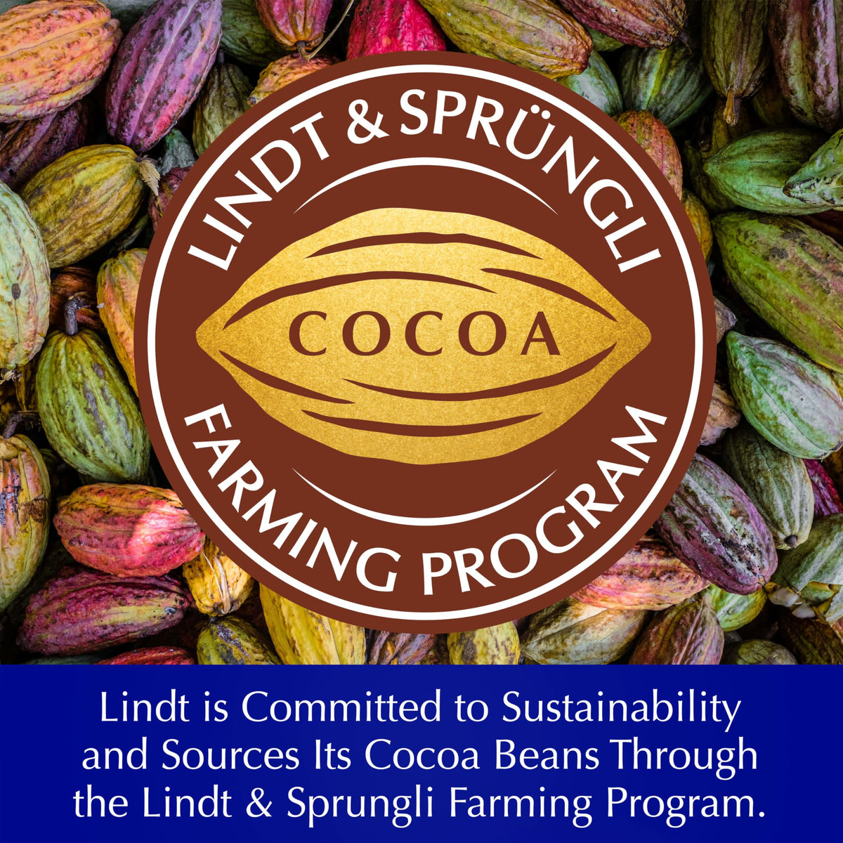 Nutty slices reveal generous hazelnuts with caramelized notes in Lindt bar.
