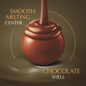 Lindt LINDOR Dark Chocolate Truffle closeup offers rich flavor for sophisticated snacking.