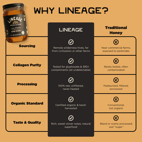 Lineage Provisions honey drizzle over food shows versatile drizzling option.