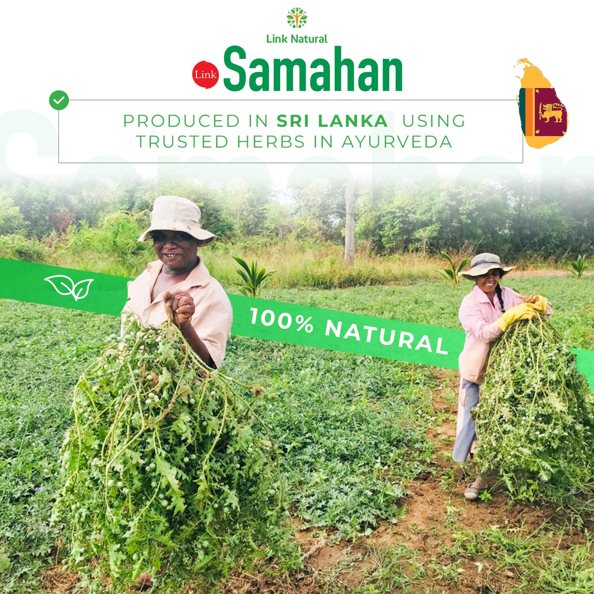 LINK SAMAHAN Samahan tea packaging labels kosher and halal certifications visible.