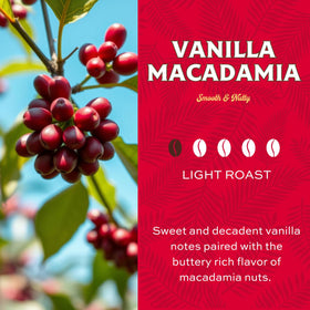 Close-up of vanilla and macadamia flavor notes in Lion Coffee 24K Gold Roast
