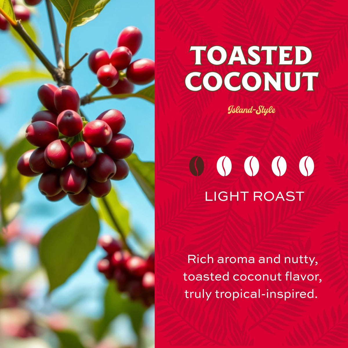Lion Coffee premium Arabica beans for a bright, balanced cup