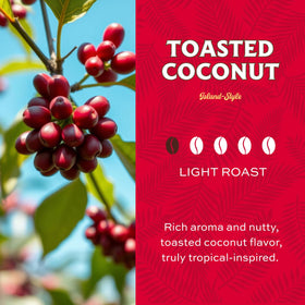 Lion Coffee premium Arabica beans for a bright, balanced cup