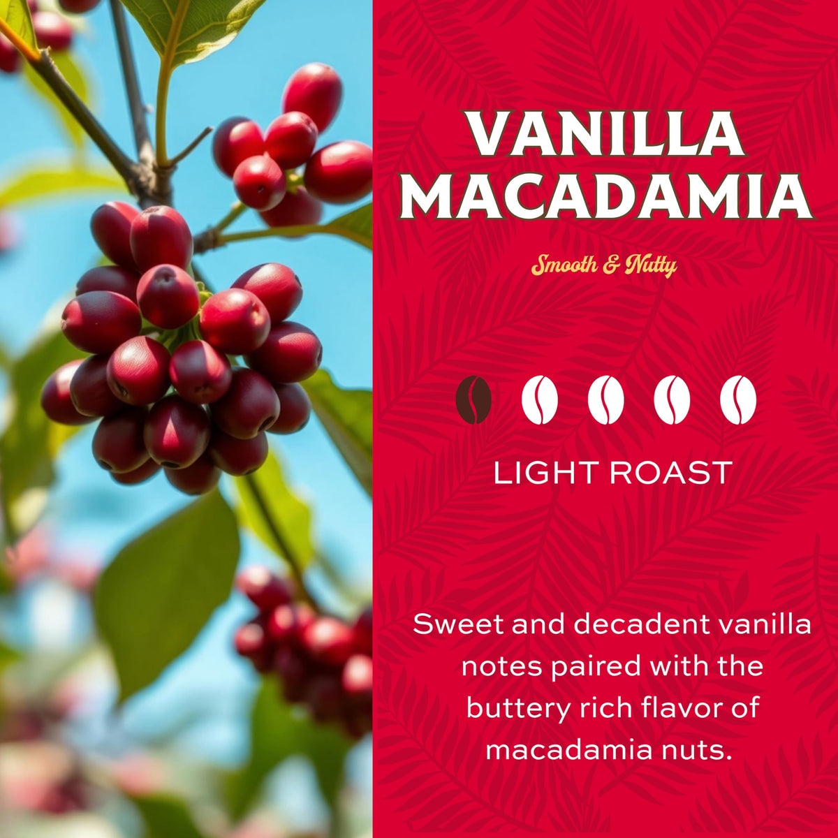 Lion Coffee Vanilla Macadamia label closeup highlighting premium Arabica beans.