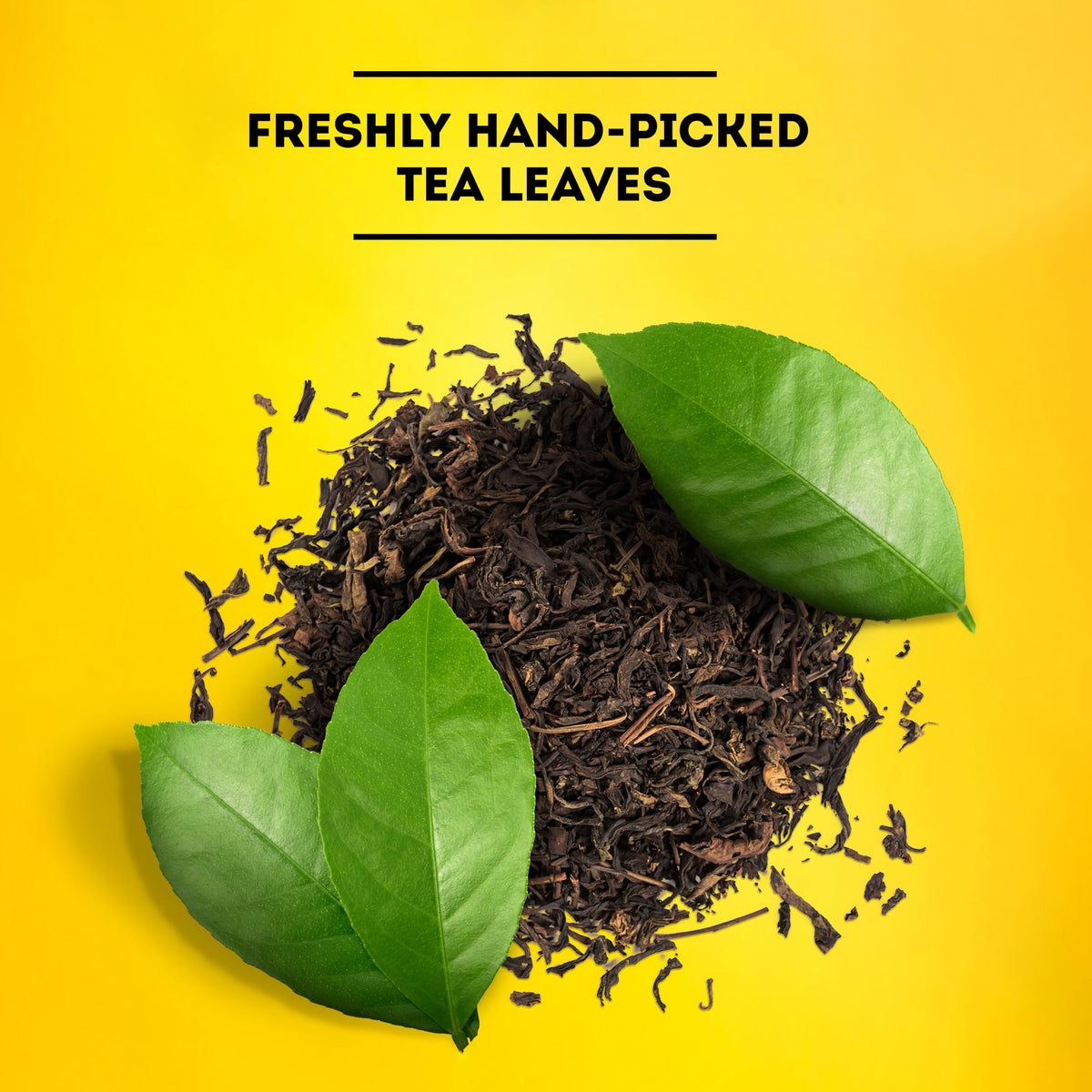 Lipton amber iced tea serve glass, smooth, full-bodied taste for any time