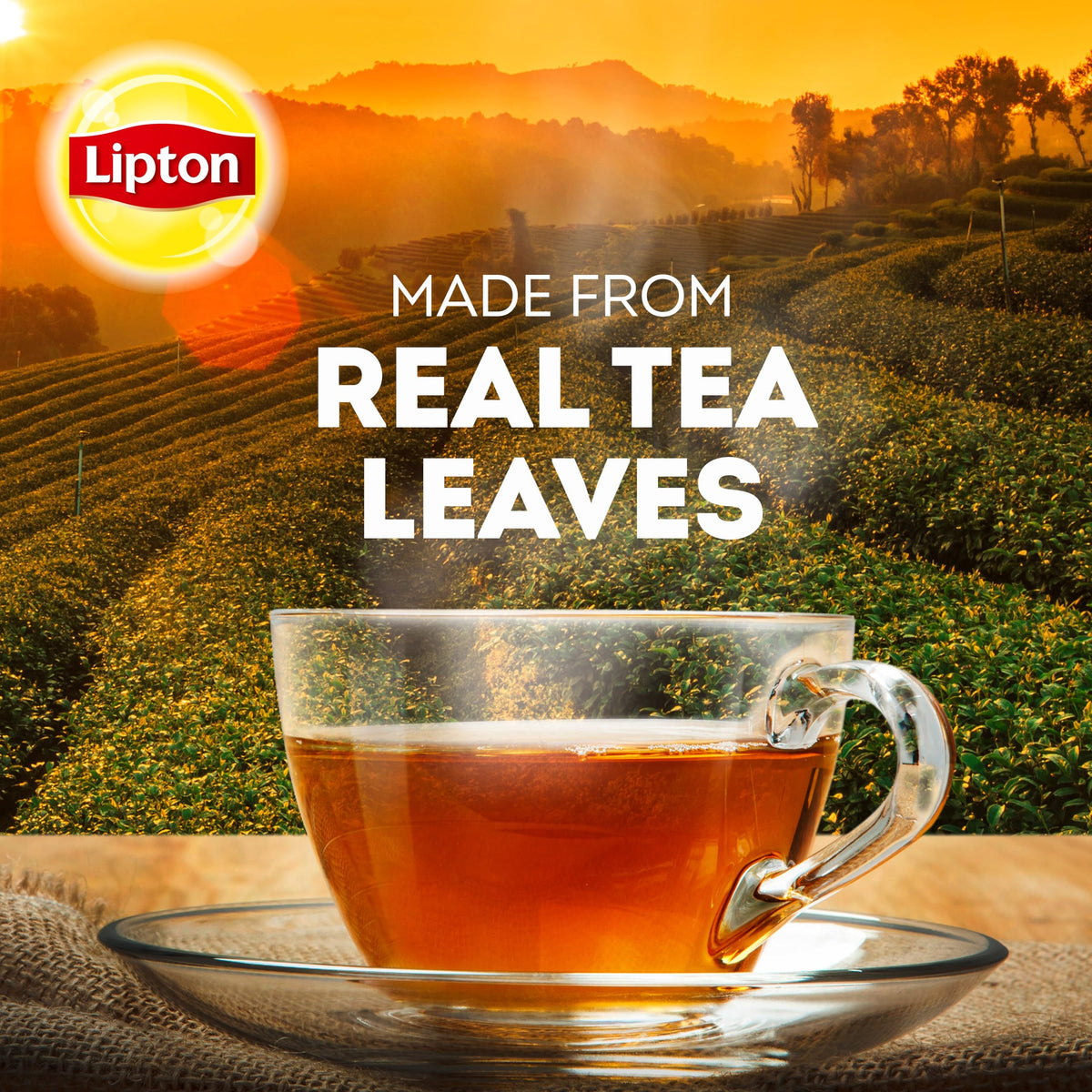 Lipton Decaffeinated Tea Bags brewed cup with steam, inviting aroma and smooth flavor.