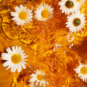 Lipton Golden Chamomile tea bags steeping in cup to release aroma
