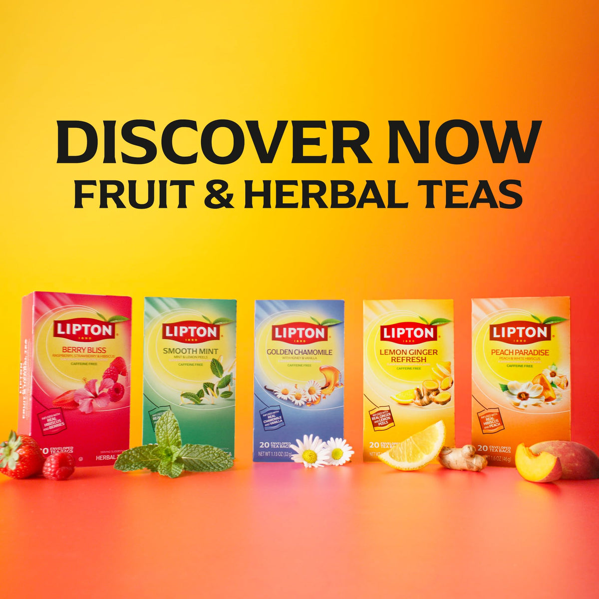 Lipton Lemon Ginger tea packaging showing 80-bag supply