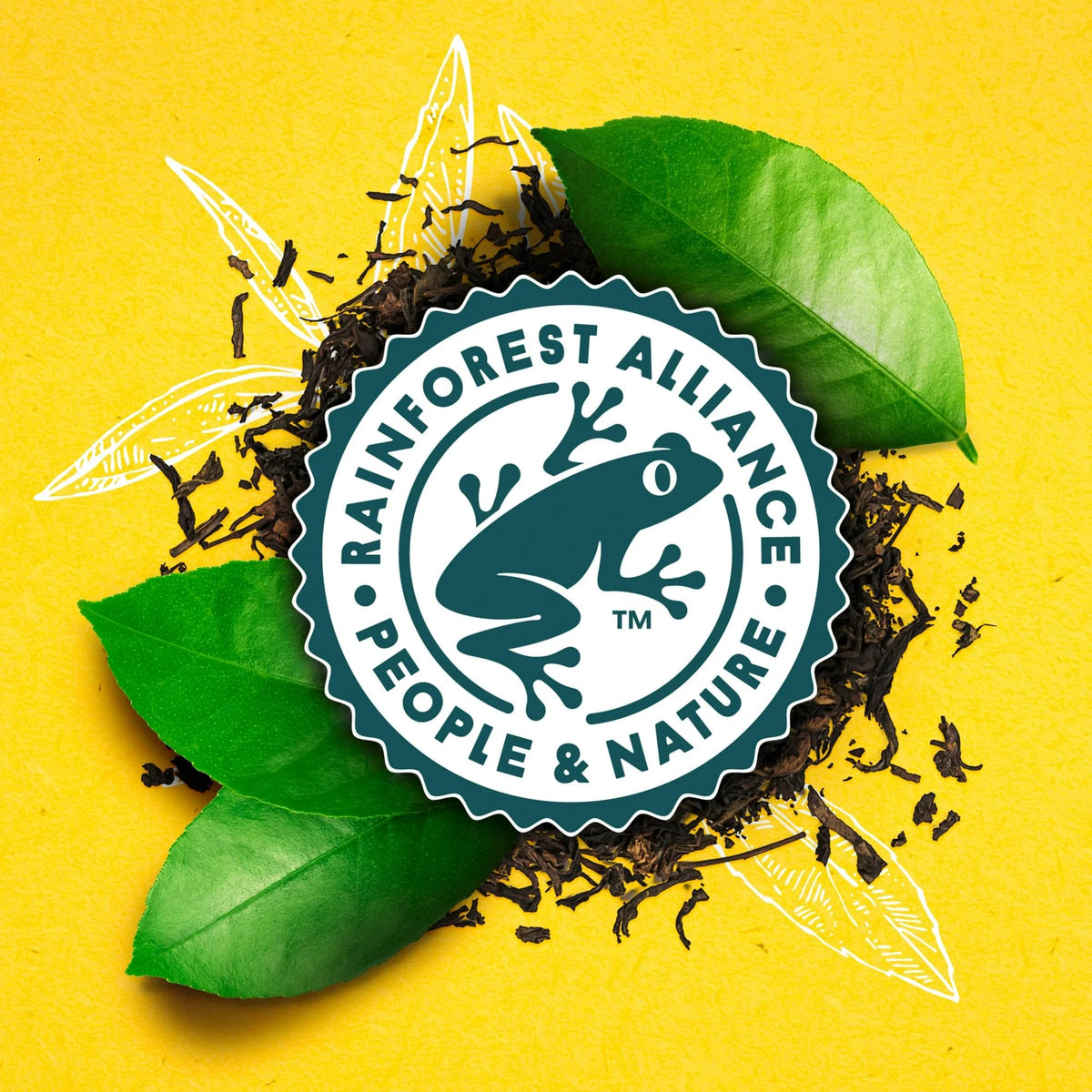 Lipton Southern Sweet Iced Tea K-Cups sustainability label highlights Rainforest Alliance certification.