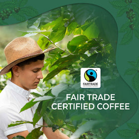 Liquid Gold Coffee ground 12 oz for easy drip or pour-over.