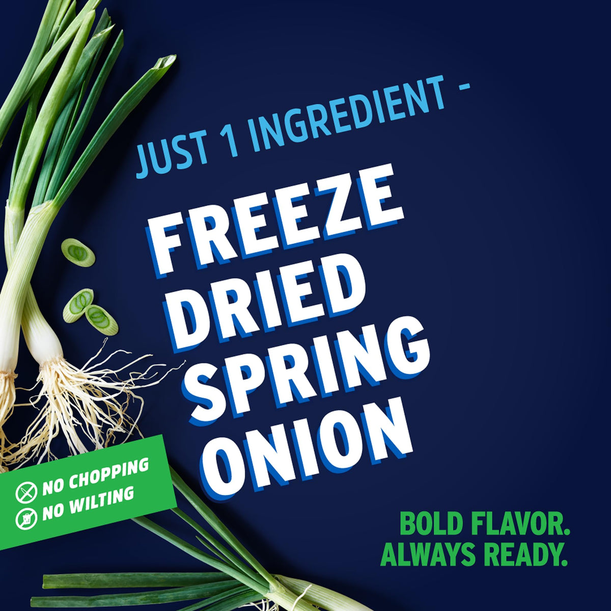 Litehouse Freeze Dried Spring Onion close-up highlighting vibrant color and aroma